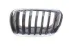 Решітка радіатора BMW X5 (E70)/X6 (E71) 06-14 (L) 700 0335 AUTOTECHTEILE 7000335 (фото 1)