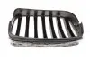 Решітка радіатора BMW X5 (E70)/X6 (E71) 06-14 (L) 700 0335 AUTOTECHTEILE 7000335 (фото 3)