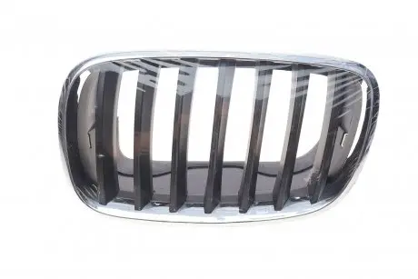 Решітка радіатора BMW X5 (E70)/X6 (E71) 06-14 (L) 700 0335 AUTOTECHTEILE 7000335