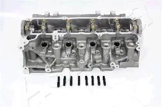 Головка блока ASHIKA NS013S