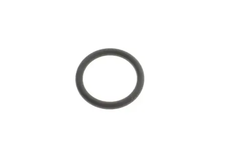 O-RING BMW 11618579883