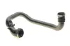 Патрубок інтеркулера Opel Movano/Renault Master 2.2/2.5DTI/dCi 00- ROTWEISS RWS2448 (фото 1)
