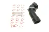 Патрубок інтеркулера BMW 5 (E60)/6 (E63) 04-10 M57 ROTWEISS RWS2679 (фото 1)