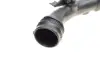Патрубок інтеркулера Renault Kangoo 1.5 DCI 08- ROTWEISS RWS2443 (фото 6)