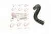 Патрубок системи охолодження Renault Kangoo 1.5 dCi 01- ROTWEISS RWS2566 (фото 1)