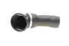Патрубок інтеркулера BMW 5 (E60) 04-10 M57 ROTWEISS RWS2658 (фото 2)
