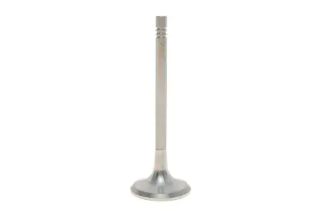 Клапан випускний Skoda Octavia (00-10,04-13)/VW Golf (00-05,08-12)/Audi A4 (01-04) VIKA 11090724501