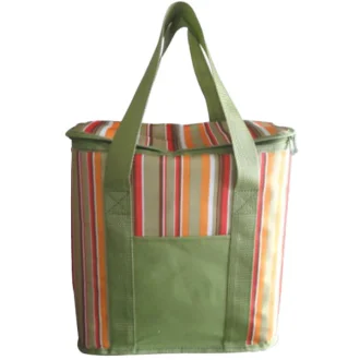 Термосумка 20 л CARFACE DO VP50ML1084ASTR