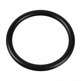 Sealing Ring FEBI 174322