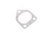 Коллектор выпускной BMW X5 (E53) 3.0 TD 00-07 M57 D30 TRUCKTEC AUTOMOTIVE 08.16.013 (фото 10)
