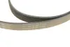 Комплект ременя генератора Ford Fiesta/Focus 1.0 12- INA 529 0524 10 (фото 3)