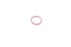 Уплотнительное кольцо (O-ring) Renault (5 шт.).) MAGNETI MARELLI 007950024400 (фото 3)