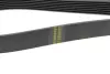 Ремінь генератора Land Rover Defender 2.2Td4 11-16/Nissan Navara/Pathfinder 3.0dCi 10- (7PK2670) HUTCHINSON 2670 K 7 (фото 3)