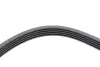 Ремінь генератора Opel Astra/Corsa 1.0/1.2/1.4 00-/Suzuki Wagon R 1.0/1.2 04-05 (5PK1355) HUTCHINSON 1355 K 5 (фото 4)