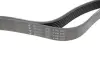 Ремінь генератора Kia Sorento 2.5 CRDI 06-/Land Rover Discovery/Range Rover 88-04 HUTCHINSON 2257 K 7 (фото 2)