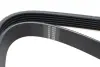 Ремень генератора Fiat Scudo/Citroen Berlingo/VW Golf IV 1.8/1.9TDI 97- (6PK1660) HUTCHINSON 1660 K 6 (фото 2)