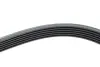 Ремінь генератора VW LT 2.8TDI 96KW/Ford Transit 2.0DI 00-14 (6PK1642) HUTCHINSON 1642 K 6 (фото 4)