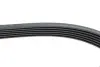 Ремень генератора VW LT 2.8TDI 96KW/Ford Transit 2.0DI 00-14 (6PK1637) HUTCHINSON 1637 K 6 (фото 4)