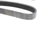 Ремень генератора Renault Megane I/Ford Transit 2.0 94-00 (6PK1650) HUTCHINSON 1650 K 6 (фото 2)