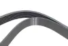 Ремень генератора Renault Megane I/Ford Transit 2.0 94-00 (6PK1650) HUTCHINSON 1650 K 6 (фото 3)