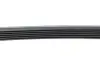Ремінь генератора Audi A6 4.2 98-05/A8 3.7/4.2 98-02 (6PK2648) HUTCHINSON 2648 K 6 (фото 4)