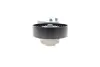 Натяжник ремня генератора Land Rover Discovery/Range Rover 2.7/3.0 04- INA 534 0668 10 (фото 6)