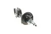 Амортизатор (передній) Mitsubishi Colt 04-12 (L) KAVO PARTS SSA-5541 (фото 5)