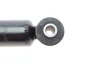 Амортизатор (передній) MB M-class (W163) 98-05 KAVO PARTS SSA-10536 (фото 2)