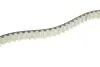 Комплект ГРМ Land Rover Discovery/Range Rover 3.0 TD 09- (20x80z) HEPU 20-2073 (фото 3)