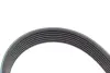 Комплект ременя генератора Audi A4/A6/Q5/Q7 3.0TFSI/VW Touareg 3.0 V6 TSI Hybrid 10-18 (7PK1272) INA 529 0245 10 (фото 4)