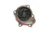 Комплект ГРМ + помпа Opel Astra G/Combo/Corsa C 1.7DI/DTI 00- (25x131z) INA 530 0338 30 (фото 6)