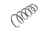 Пружина (передня) Dacia Duster 1.5dCi/1.5dCi 4x4 10-18/Renault Duster 1.5dCi 4x4 11- SOLGY 212071 (фото 1)