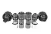 REAR CONTROL ARMS BUSHINGS SET TED GUM TEDGUM TED56117 (фото 1)