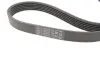 Комплект ременя генератора BMW 5 (G30/F90)/7 (G11/G12) 3.0 d (B57) 15-20 (6PK1153) CONTINENTAL CONTITECH 6PK1153K5 (фото 3)