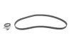 Комплект ГРМ Opel Astra F/Omega A/B/Vectra A/B 1.6/1.8/2.0i 88-03 (20x146z) 1 987 948 994 BOSCH 1987948994 (фото 1)
