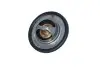 Термостат системи охолодження (75°C) RENAULT CLIO III 2.0 02.06-12.14 NRF 725089 (фото 1)