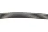 Ремінь генератора Citroen DS5/Peugeot 3008/508 I 2.0DH 10-18 CONTINENTAL CONTITECH 6PK1080 EXTRA (фото 4)