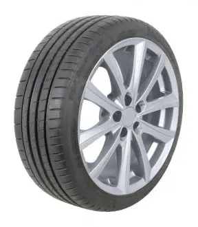 Літні шини 19 305/35R19 MICHELIN 305/35R19 LOMI 102Y PSS