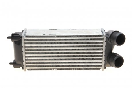 Радиатор интеркуллера Citroen DS4/DS5 2.0 HDI/2.0BlueHDI 11-18 VAN WEZEL 09014705 (фото 1)