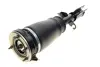Подушка пневмоподвески (спереди) BMW X5 (E53) 00-06 (R) BOGAP B3426101 (фото 1)