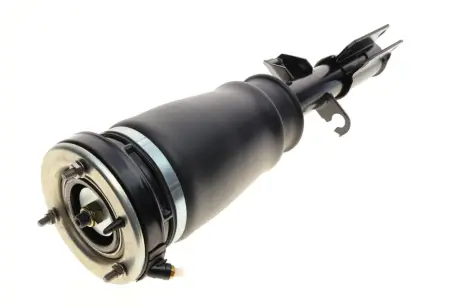 Подушка пневмопідвіски (спереду) BMW X5 (E53) 00-06 (R) BOGAP B3426101