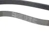 Натяг паса (комплект) CONTITECH 6PK1130K3 (фото 3)