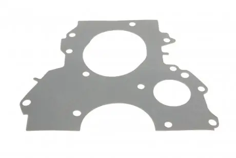 Прокладка натяжника ланцюга ГРМ Ford Connect 1.8 TDCi 02-13 DP DP GROUP ES 81012 ARI