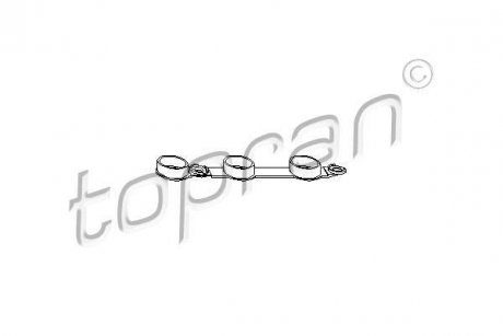 Прокладка, крышка головки цилиндра TOPRAN 501 328 (фото 1)