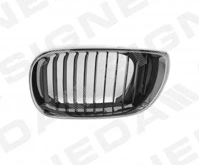 Решітка радіатора SIGNEDA PBM07012GAL