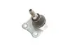 Опора кульова (передня/знизу/L) Audi A3 -93/VW Golf IV -06 CORTECO 49398581 (фото 3)
