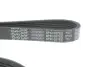Ремінь поліклиновий DAYCO 6PK1027EE (фото 4)