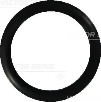 Ущільнююче кільце REINZ VICTOR REINZ 407644900
