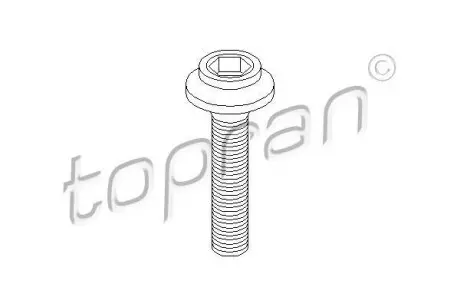 Болт шарніра приводного валу TOPRAN 108139