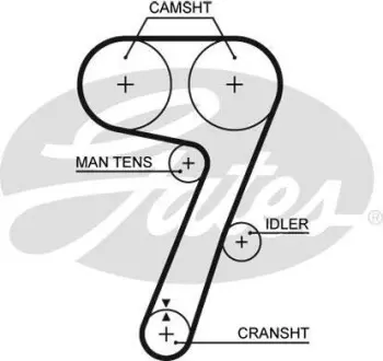 Фото запчастини Ремінь ГРМ GATES 5336 Ремінь ГРМ GATES 5336
